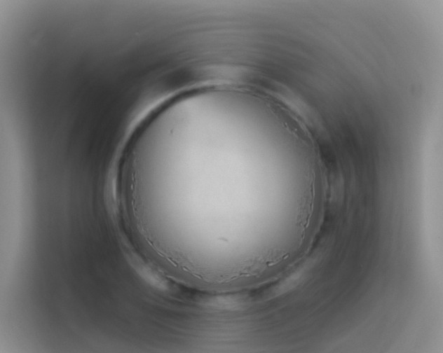 X0000114071078200910051333