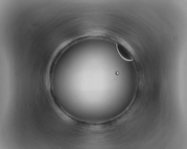 X0000114071080200910051333