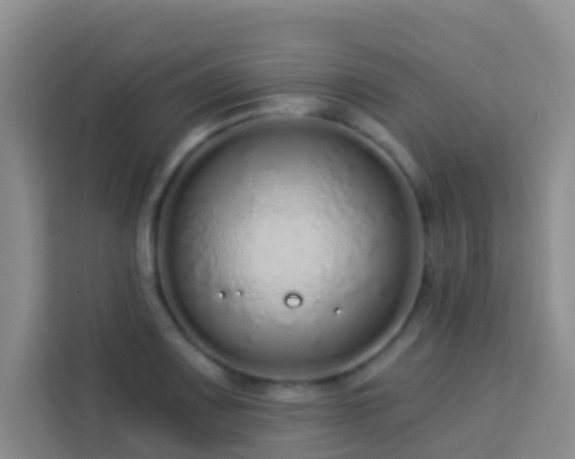 X0000114071083200910051333