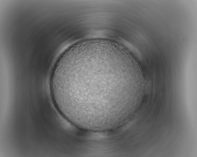 X0000114071086200910051333