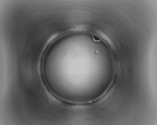 X0000114071087200910051333