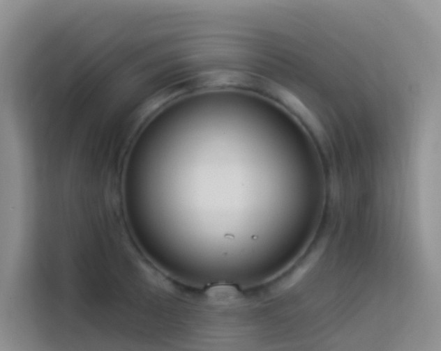 X0000114071089200910051333