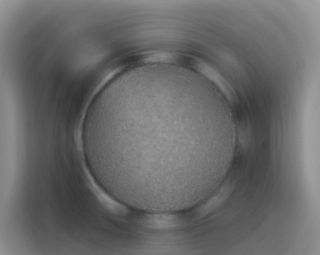 X0000114071090200910051333