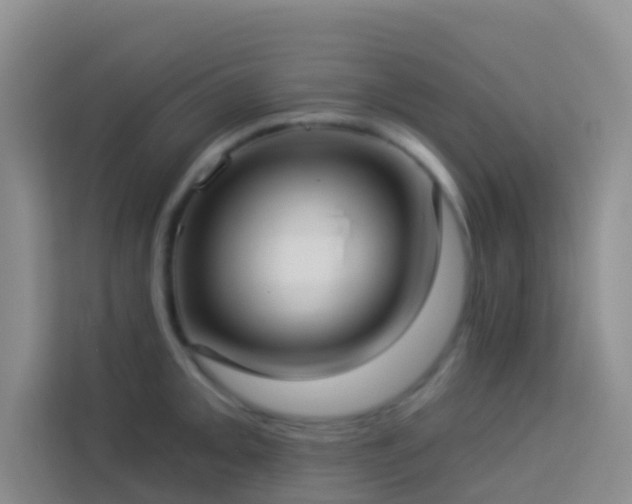 X0000114071093200910051333