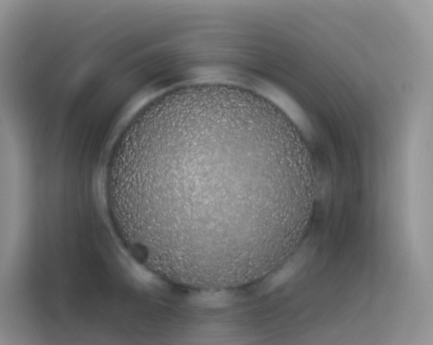 X0000114071094200910051333