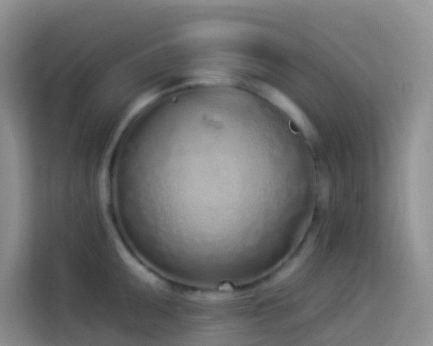 X0000114071095200910051333