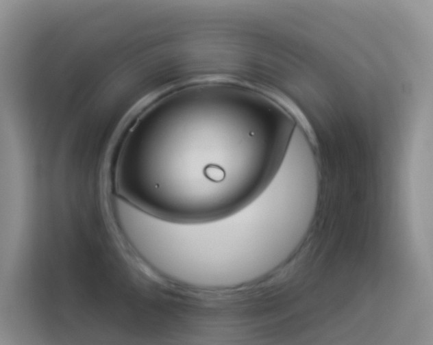 X0000114071096200910051333