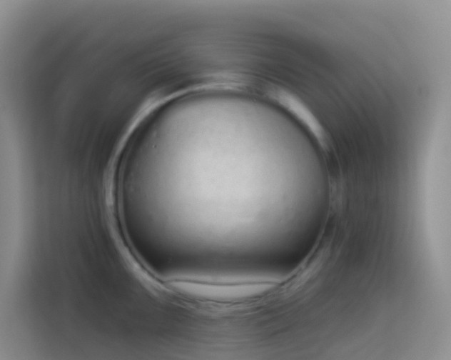 X0000114071099200910051333