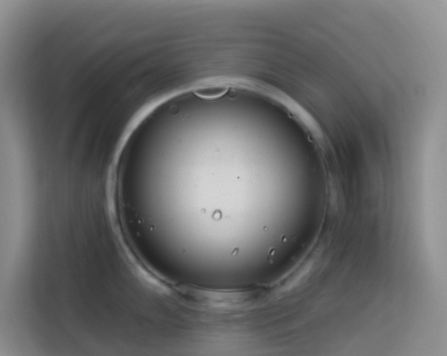 X0000114071102200910051333