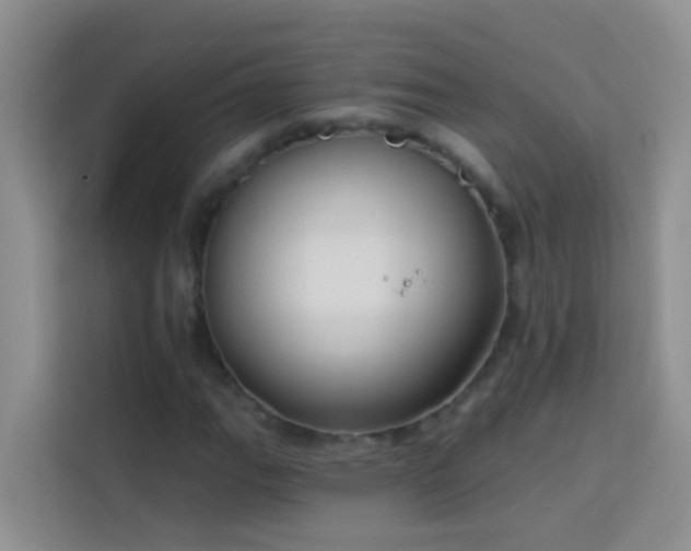 X0000114071111200910051332