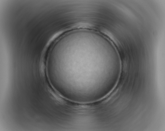 X0000114071115200910051332