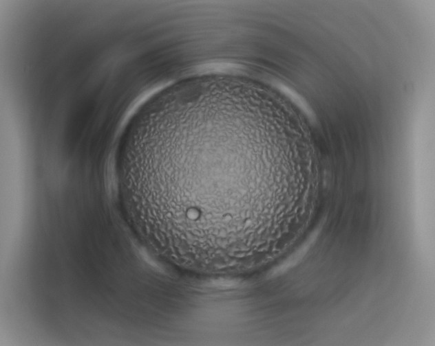 X0000114071117200910051332