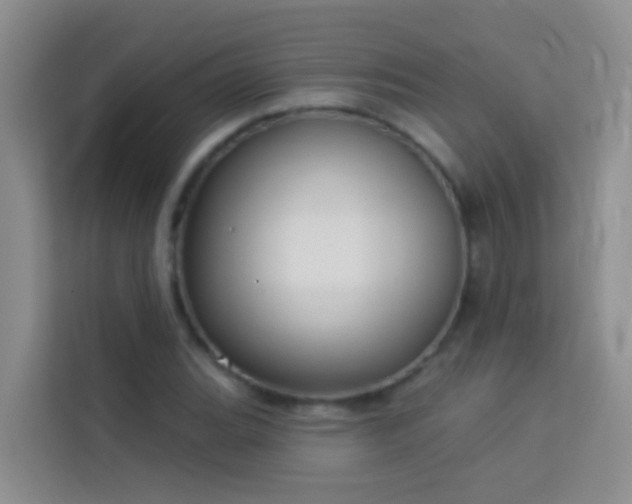 X0000114071119200910051332