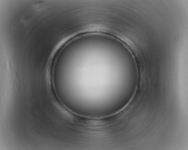 X0000114071120200910051332