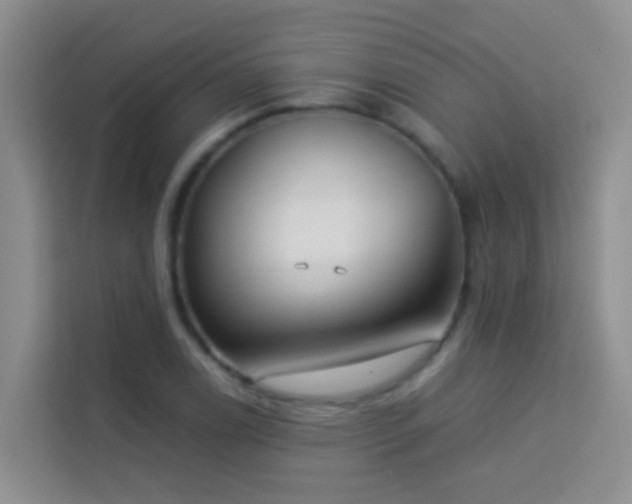 X0000114071122200910051333