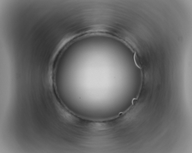 X0000114071124200910051333