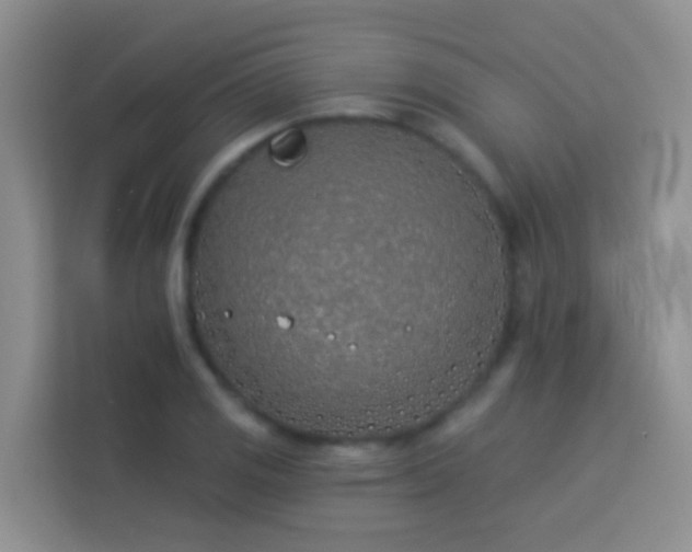 X0000114071125200910051333