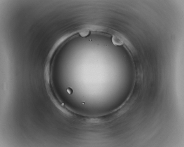 X0000114071128200910051333