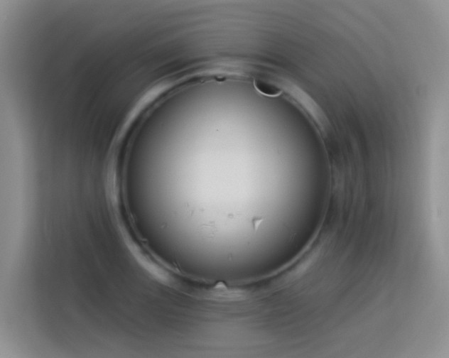 X0000114071131200910051333