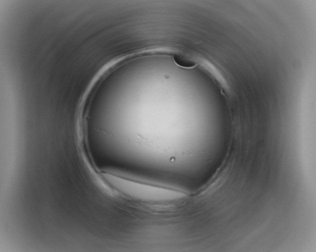 X0000114071140200910051333