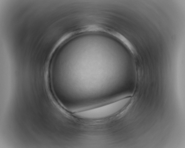 X0000114071142200910051333