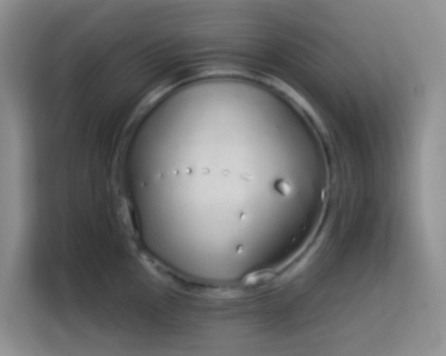 X0000114071145200910051333