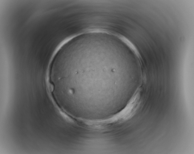 X0000114071149200910051333