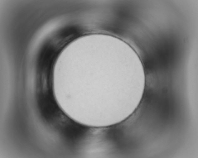 X0000114071150200910051333