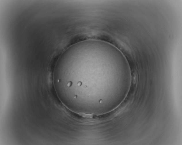 X0000114071156200910051332