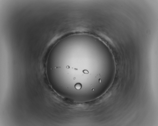 X0000114071160200910051332