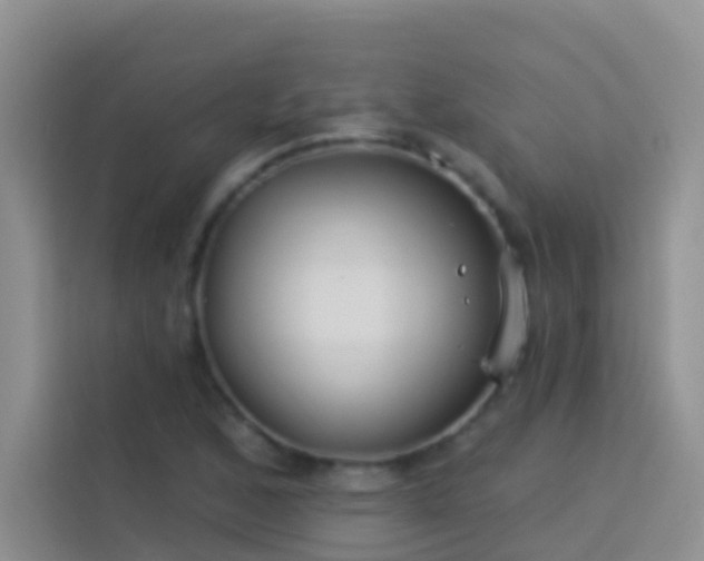 X0000114071168200910051332