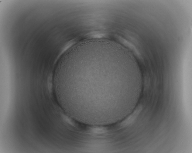 X0000114071170200910051332