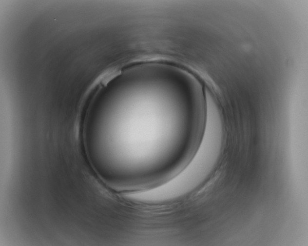 X0000114071173200910051332