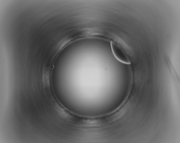 X0000114071177200910051332