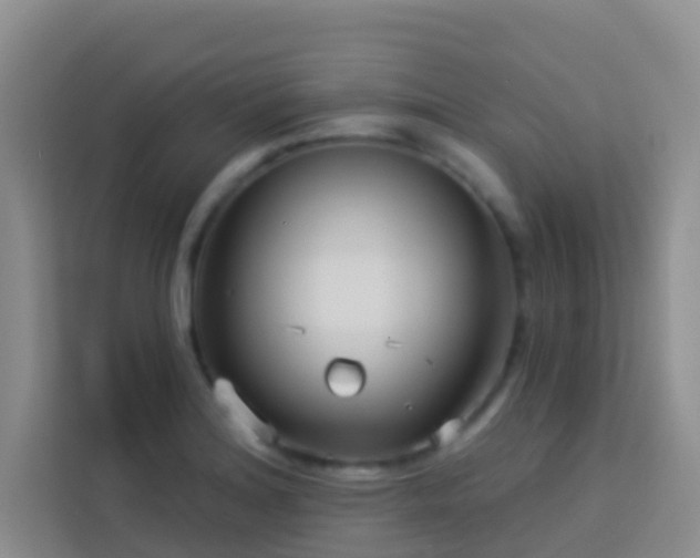 X0000114071180200910051332