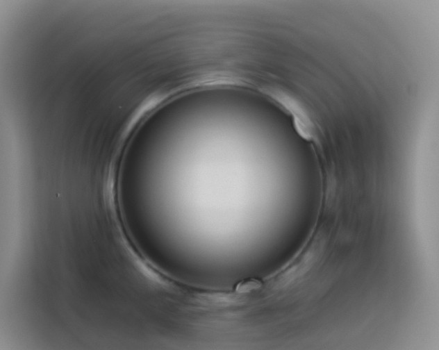 X0000114071197200910051332