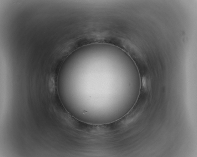 X0000114071203200910051331