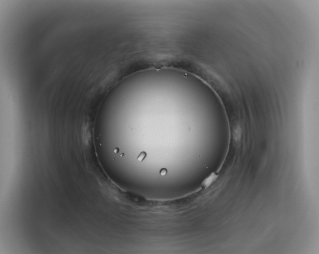 X0000114071204200910051331