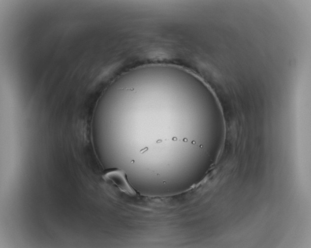 X0000114071205200910051331