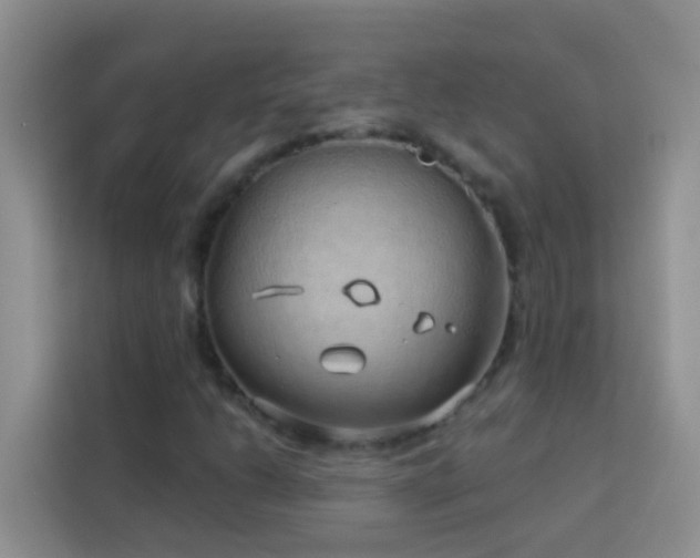 X0000114071206200910051331