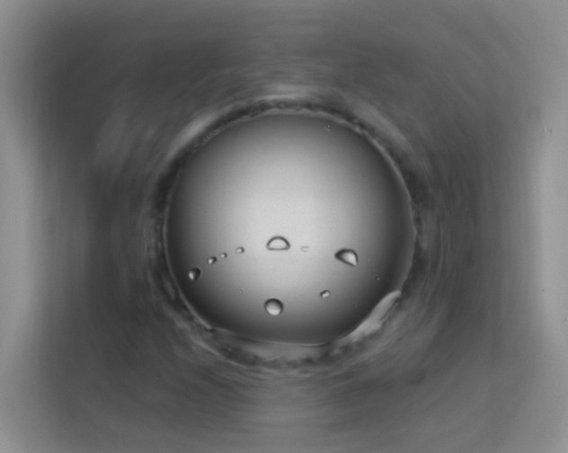 X0000114071208200910051331