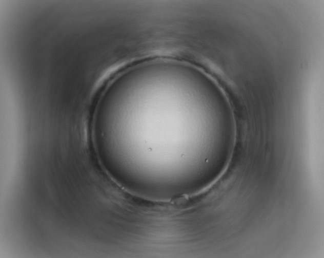 X0000114071214200910051331