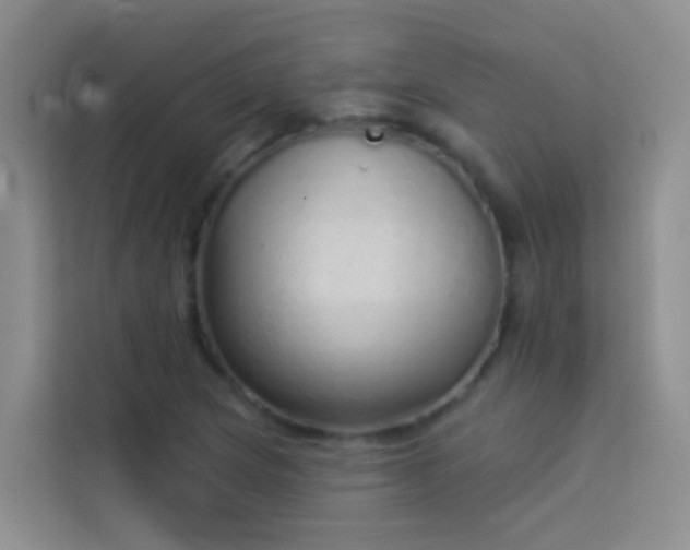 X0000114071217200910051331