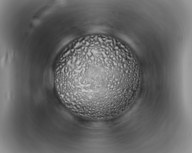 X0000114071219200910051331