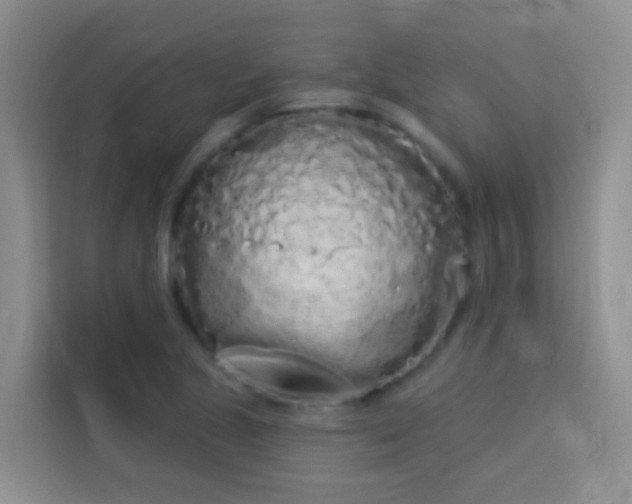 X0000114071221200910051331