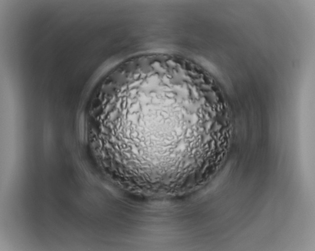 X0000114071223200910051331