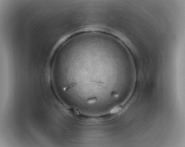 X0000114071224200910051331