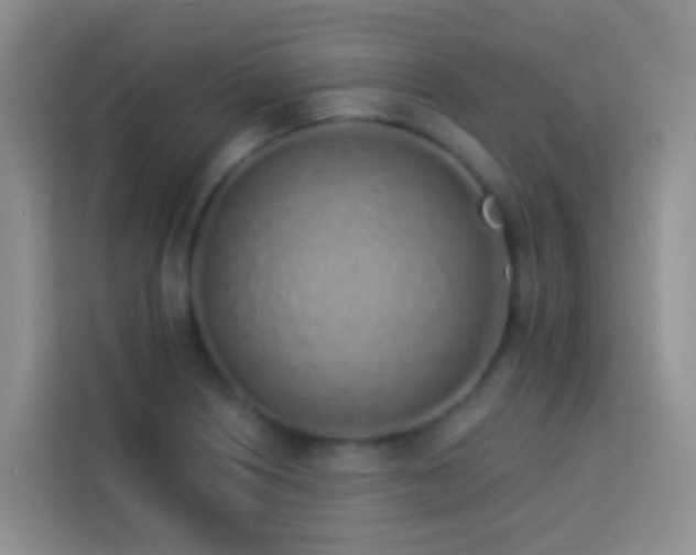 X0000114071226200910051331