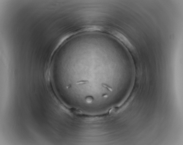 X0000114071228200910051331