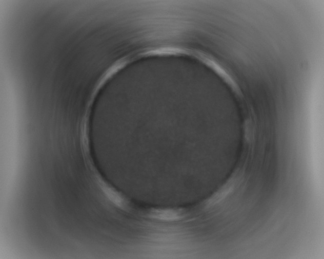 X0000114071229200910051331